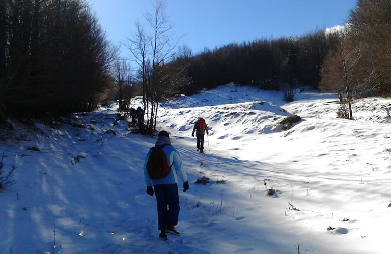 Escursioni sul Pollino